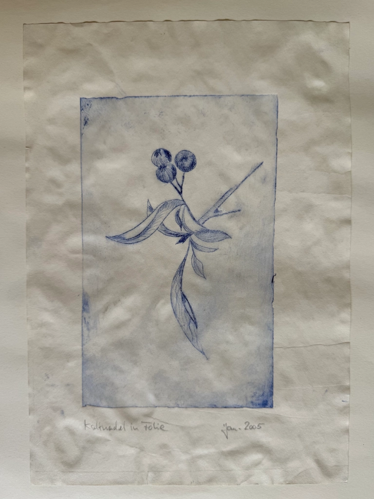 floraler Tiefdruck, 2005